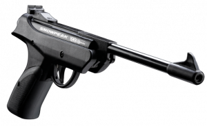Snowpeak SP 500 air pistol .22