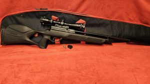 Gamo GX40 .22 with scope, moderator and slip